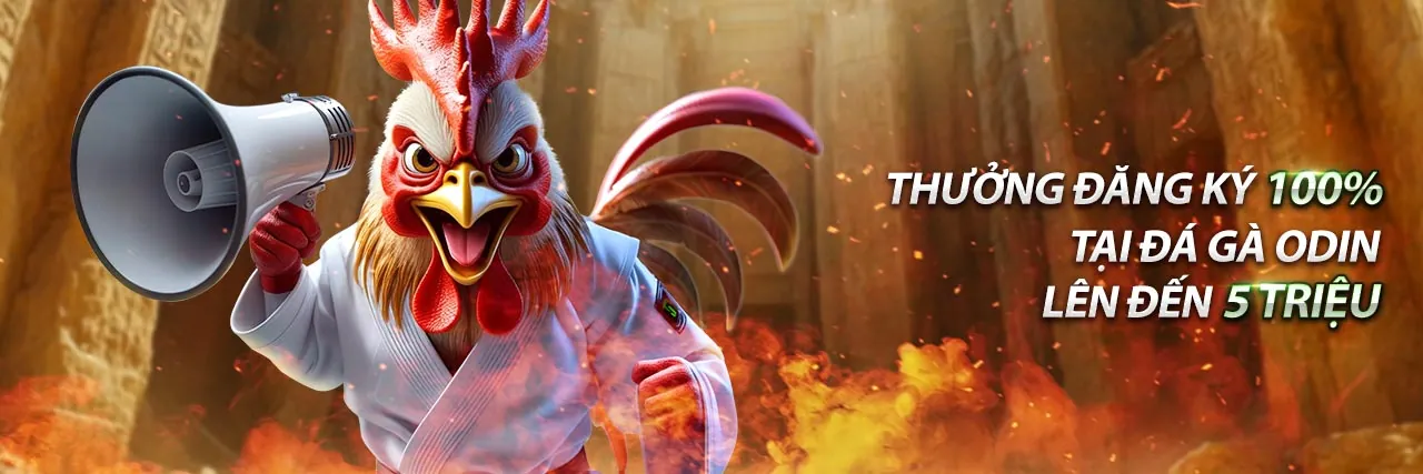 Giới thiệu về thương hiệu vn123 vip